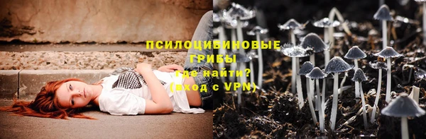 твердый Алексин