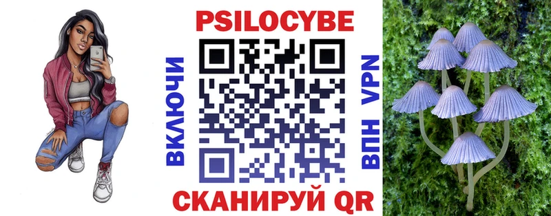 Галлюциногенные грибы MAGIC MUSHROOMS  продажа наркотиков  Снежногорск 