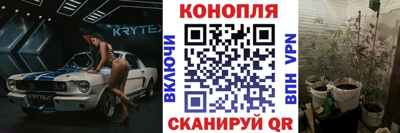 Шишки марихуана Bruce Banner  Снежногорск 